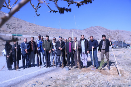 آیین درختکاری در جهاددانشگاهی استان مرکزی