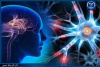 بررسی استفاده چاپ ۳ و ۶ بعدی درمان سرطان مغز و مهندسی بافت عصبی