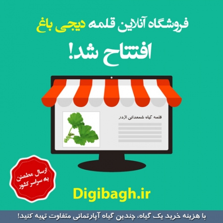 افتتاح اولین فروشگاه آنلاین قلمه گیاهان آپارتمانی و زینتی