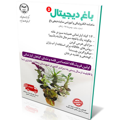 پنجمین شماره ماهنامه الکترونیکی "باغ دیجیتال" منتشر شد