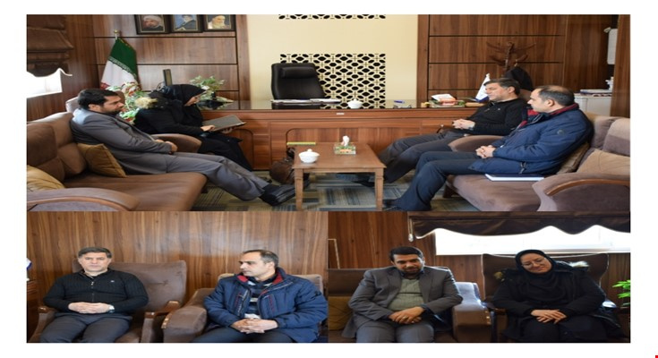 بکارگیری ظرفیت و استفاده از پتانسیل شهرستان محلات در راستای اجرای طرح ملی مشاغل خانگی تاکید گردید