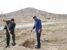 کاشت درخت به مناسبت هفته منابع طبییعی توسط ریاست جهاد دانشگاهی استان مرکزی