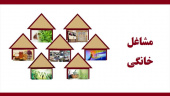 مشاوره های عمومی طرح ملی توسعه مشاغل خانگی استان مرکزی در حال برگزاری است
