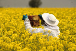 انعقاد تفاهم نامه همکاری با پیشران پرورش دهنده زنبور عسل و ژل رویال در خمین