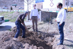 آیین روز درختکاری در جهاددانشگاهی استان مرکزی
