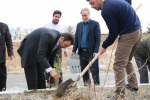 کاشت ۶۰ اصله نهال به‌مناسبت روز درختکاری در جهاددانشگاهی استان مرکزی