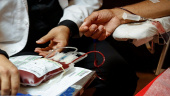 اینفوگرافیک | چه کسانی می‌توانند خون اهدا کنند؟