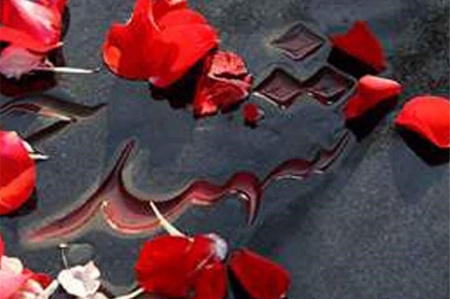 جهادگران جهاد دانشگاهی استان مرکزی با شهدای گرانقدر انقلاب اسلامی تجدید میثاق می کنند.