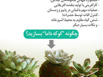 شماره چهارم نشریه الکترونیکی باغ دیجیتال منشر شد