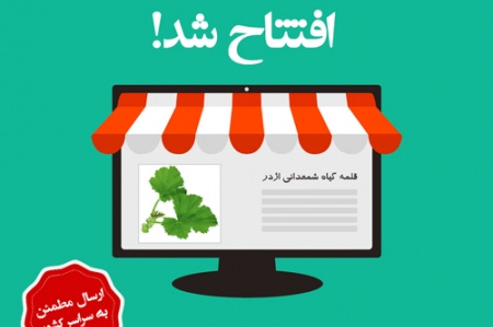 افتتاح اولین فروشگاه آنلاین قلمه گیاهان آپارتمانی و زینتی