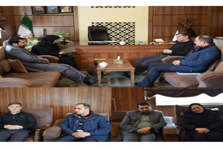 بکارگیری ظرفیت و استفاده از پتانسیل شهرستان محلات در راستای اجرای طرح ملی مشاغل خانگی تاکید گردید