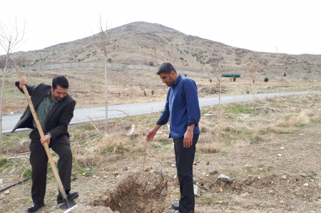 کاشت درخت به مناسبت هفته منابع طبییعی توسط ریاست جهاد دانشگاهی استان مرکزی