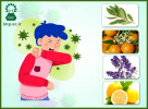 توصیه های گیاهی برای درمان علائم Covid-۱۹ بر مبنای طب ایرانی
