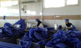بازدید کارگاه خانگی تولید لباس بیمارستانی اراک در راستای اجرای طرح ملی مشاغل خانگی