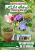 نخستین جشنواره گیاهان دارویی و صنایع وابسته در خنداب برپا می‌شود
